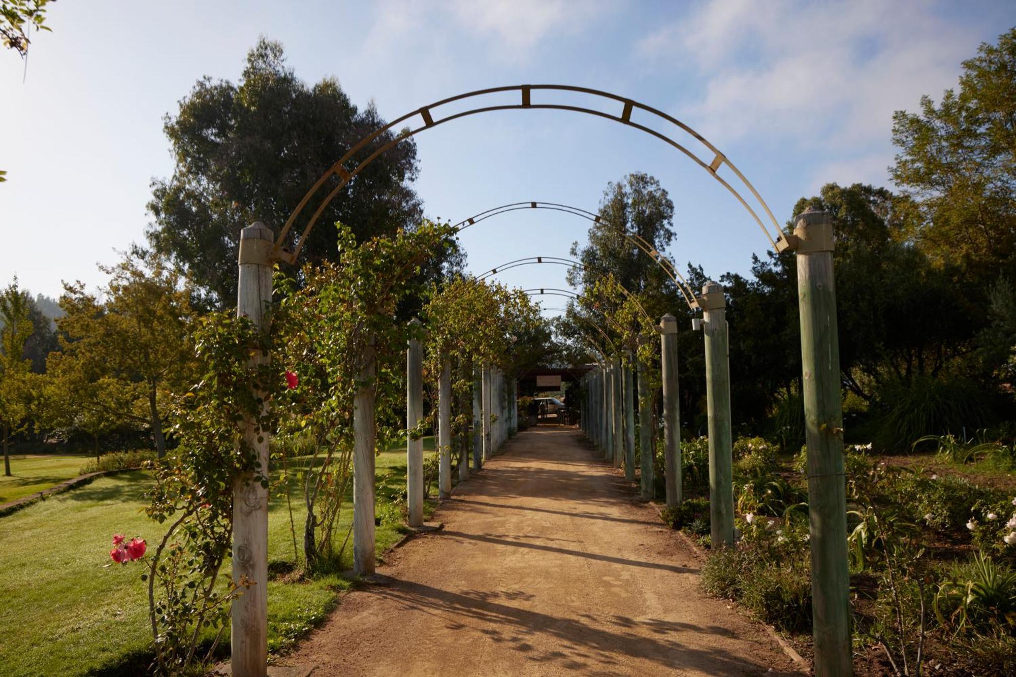 La Casona At Matetic Vineyards Guest House Lagunillas Exterior foto