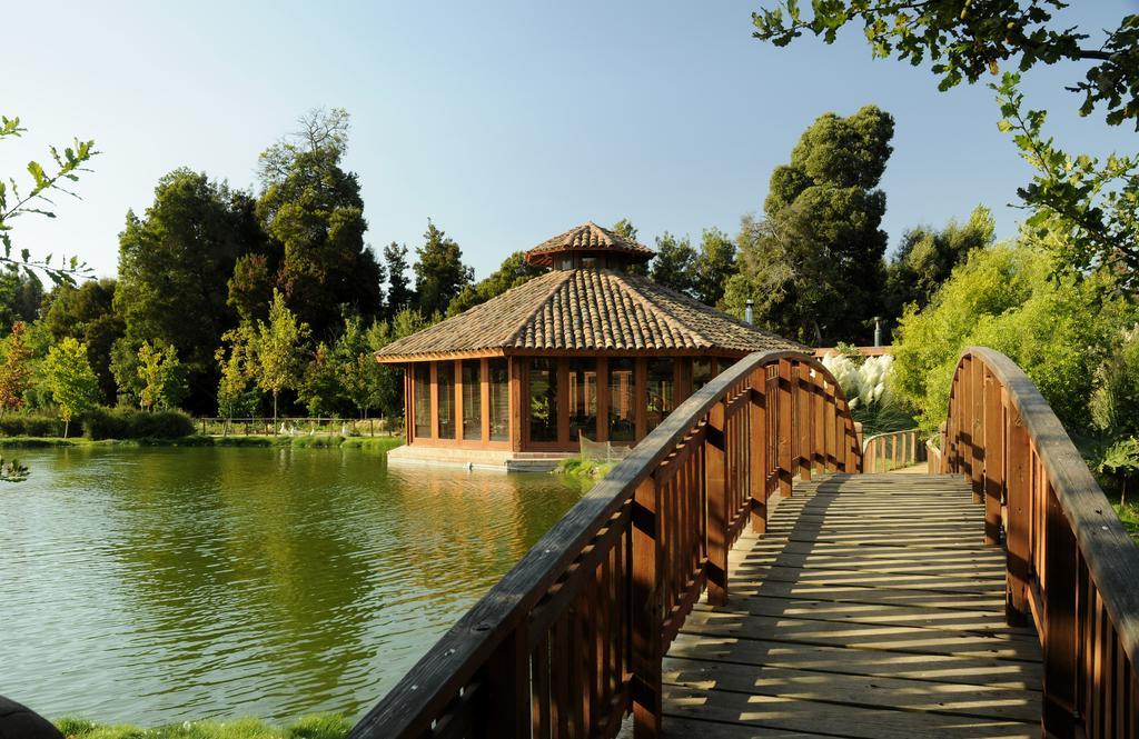 La Casona At Matetic Vineyards Guest House Lagunillas Exterior foto