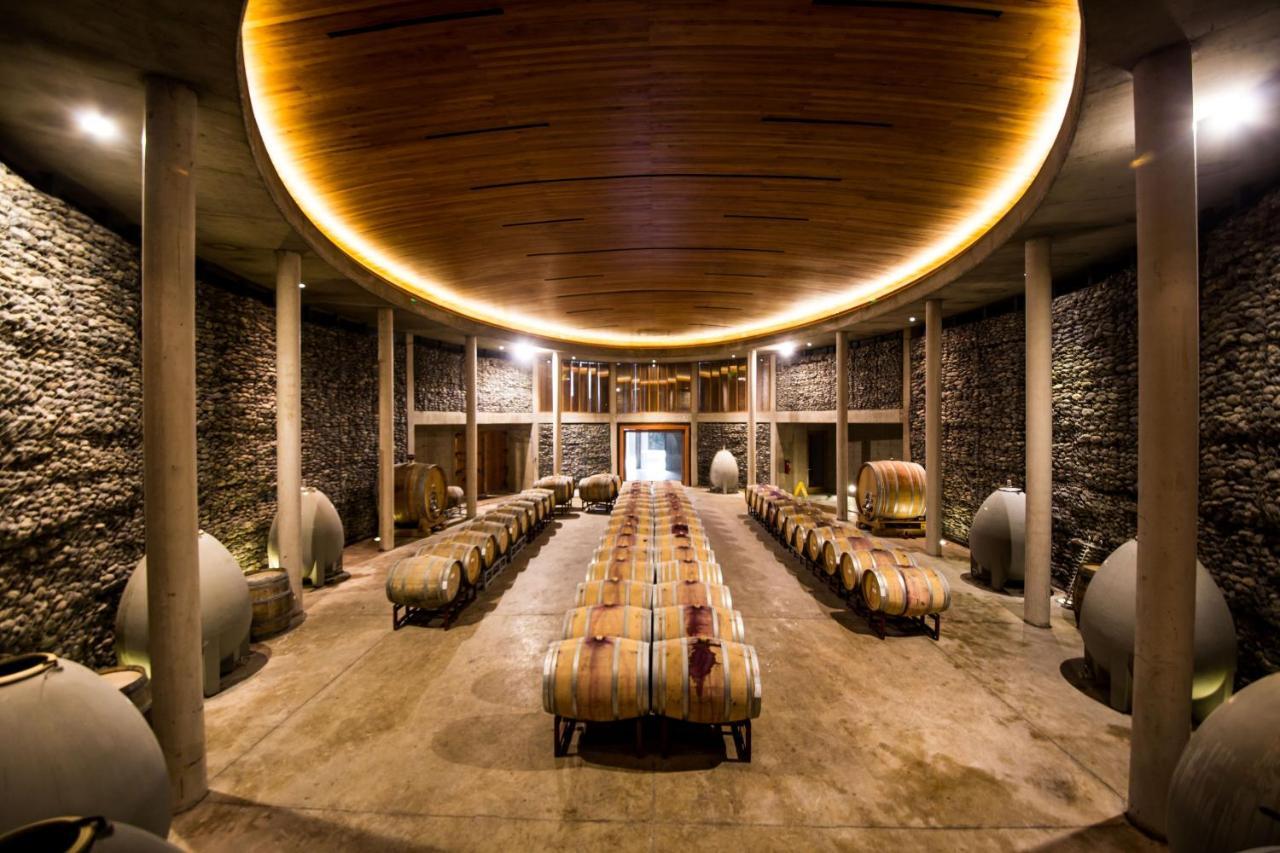 La Casona At Matetic Vineyards Guest House Lagunillas Exterior foto